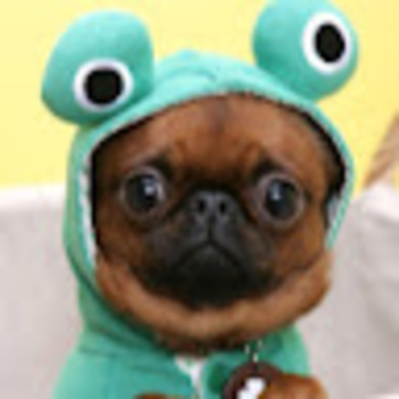 Meet your Posher, Tori - Picture 1 of 1